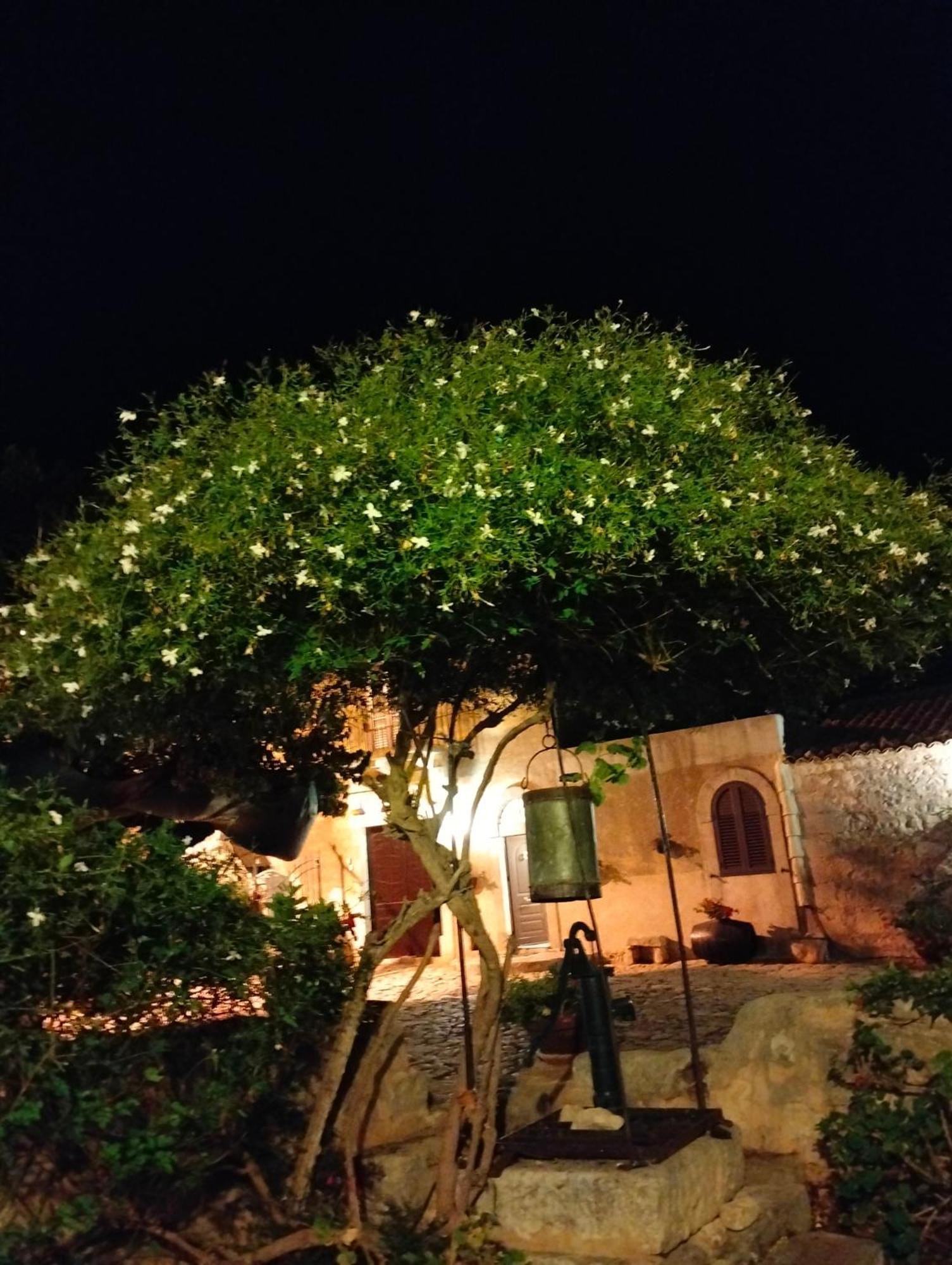 I Dammusi Villa Santa Croce Camerina Exterior foto